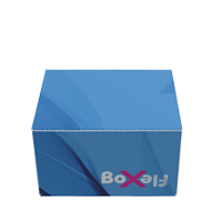 Limløst æske med lås